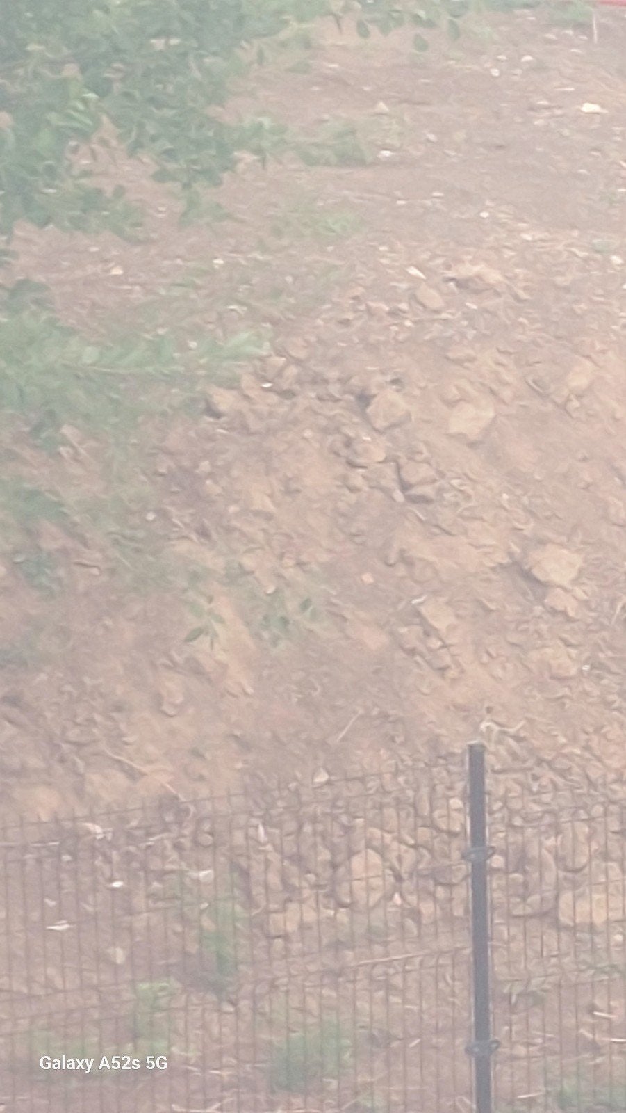 terre à donner sur jupille, Jardin & Terrasse, Pavé & Dalles, Enlèvement