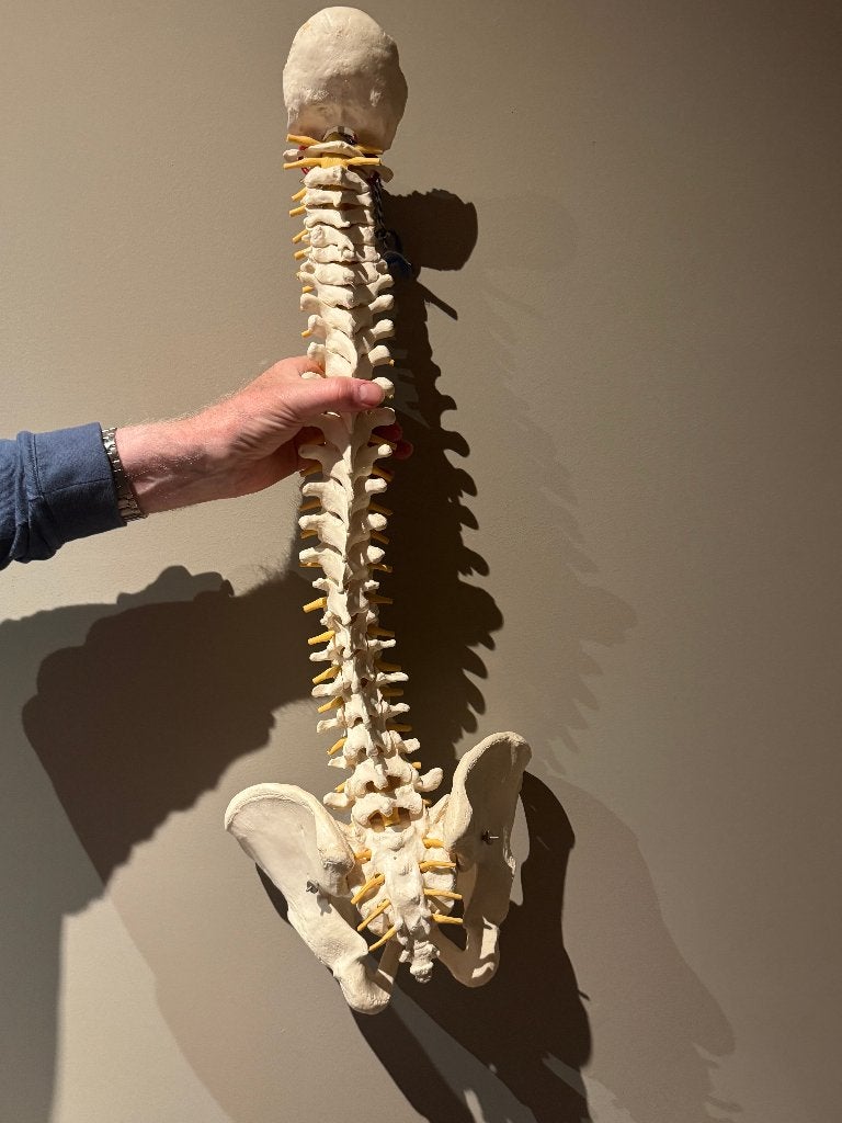 Flexibele wervelkolom, Ophalen, Zo goed als nieuw