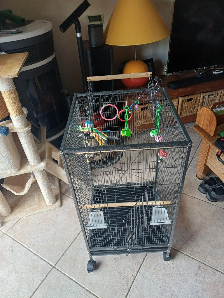 Cage à oiseaux, Enlèvement, Comme neuf, Métal, Cage à oiseaux
