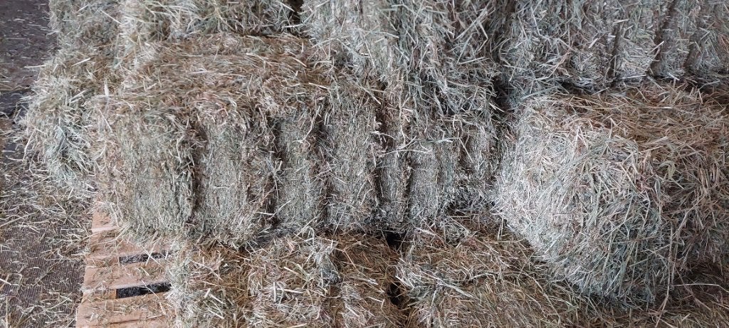 Kleine balen hooi, Dieren en Toebehoren, Dierenvoeding, Ophalen
