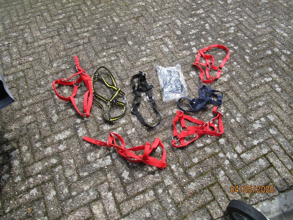 halsters, Dieren en Toebehoren, Ophalen