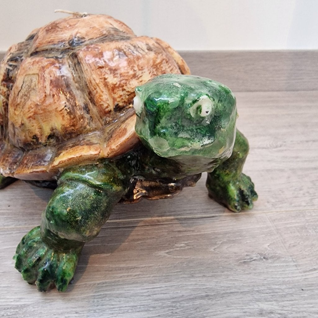 Kaars schildpad, Ophalen of Verzenden, Kaars