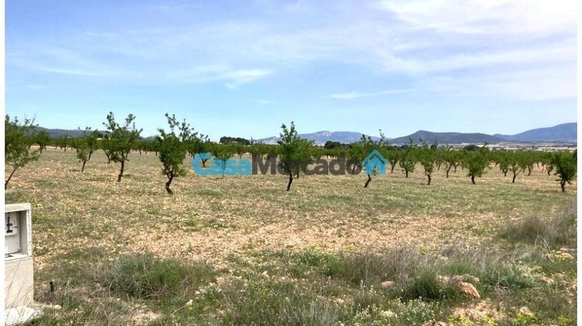 Pinoso Perceel B – CMEN43 - vraagprijs 57.000 euro, Immo, Buitenland, Kavel of Perceel, Pinoso, Alicante, Spanje, Landelijk