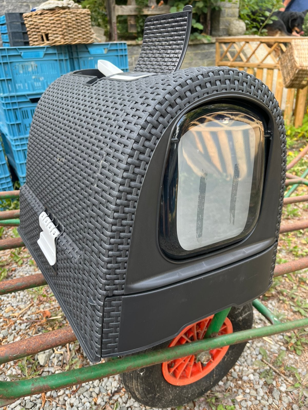Litière / maison de toilette pour chat neuve, CURVER, Animaux & Accessoires, Enlèvement, Neuf