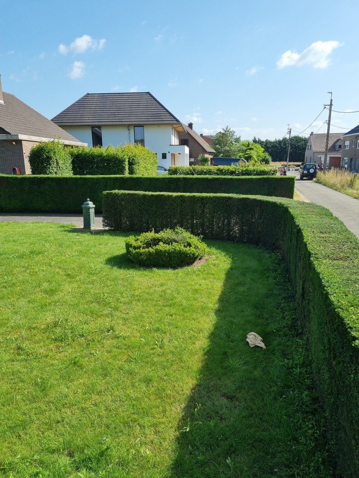 jardinage et entretien, tonte des haies, élagage, Services & Professionnels, Bricoleurs & Entreprises de petits travaux du bâtiment
