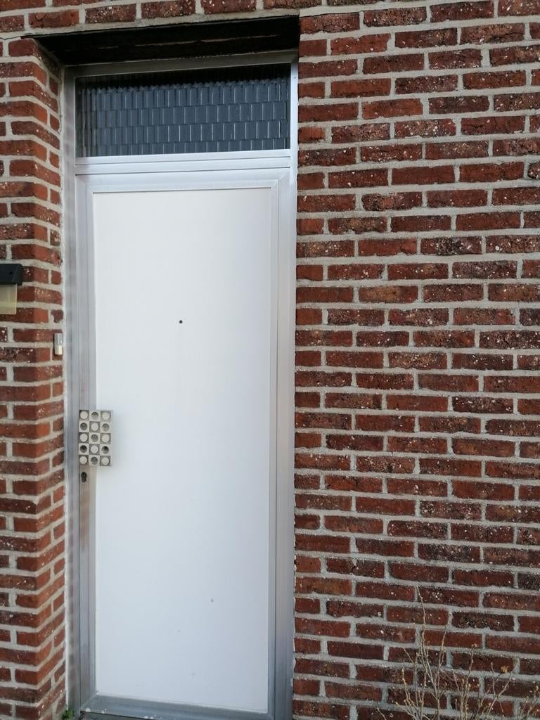 Aluminium voordeur met oog, wit, Enlèvement, Verre