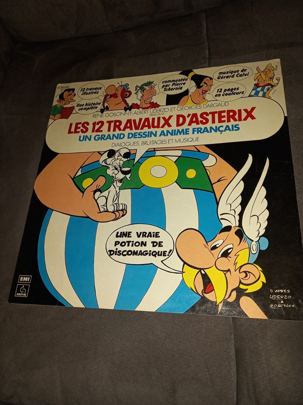 Vinyle les 12 travaux d'asterix, CD & DVD, Vinyles | Enfants & Jeunesse