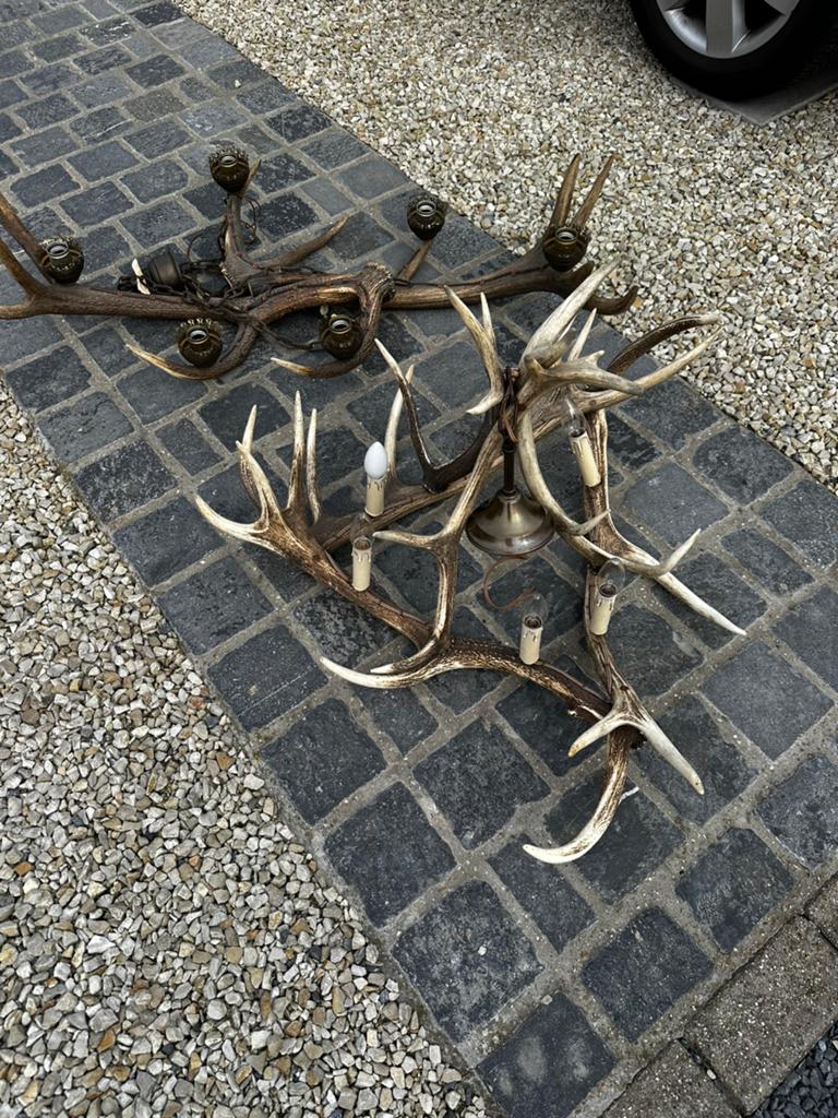 Gewei luster, Antiek en Kunst, Curiosa en Brocante, Ophalen
