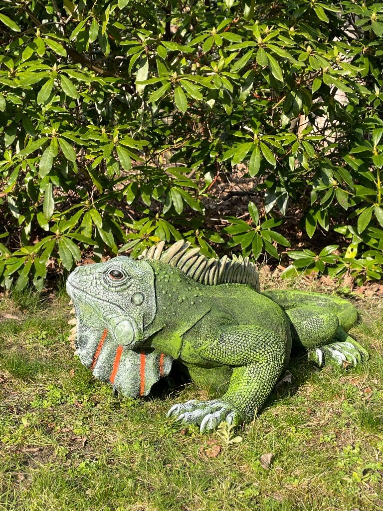 Iguane, vert, jardin, piscine, étang, salamandre 100 cm, Enlèvement, Neuf, Synthétique, Animal