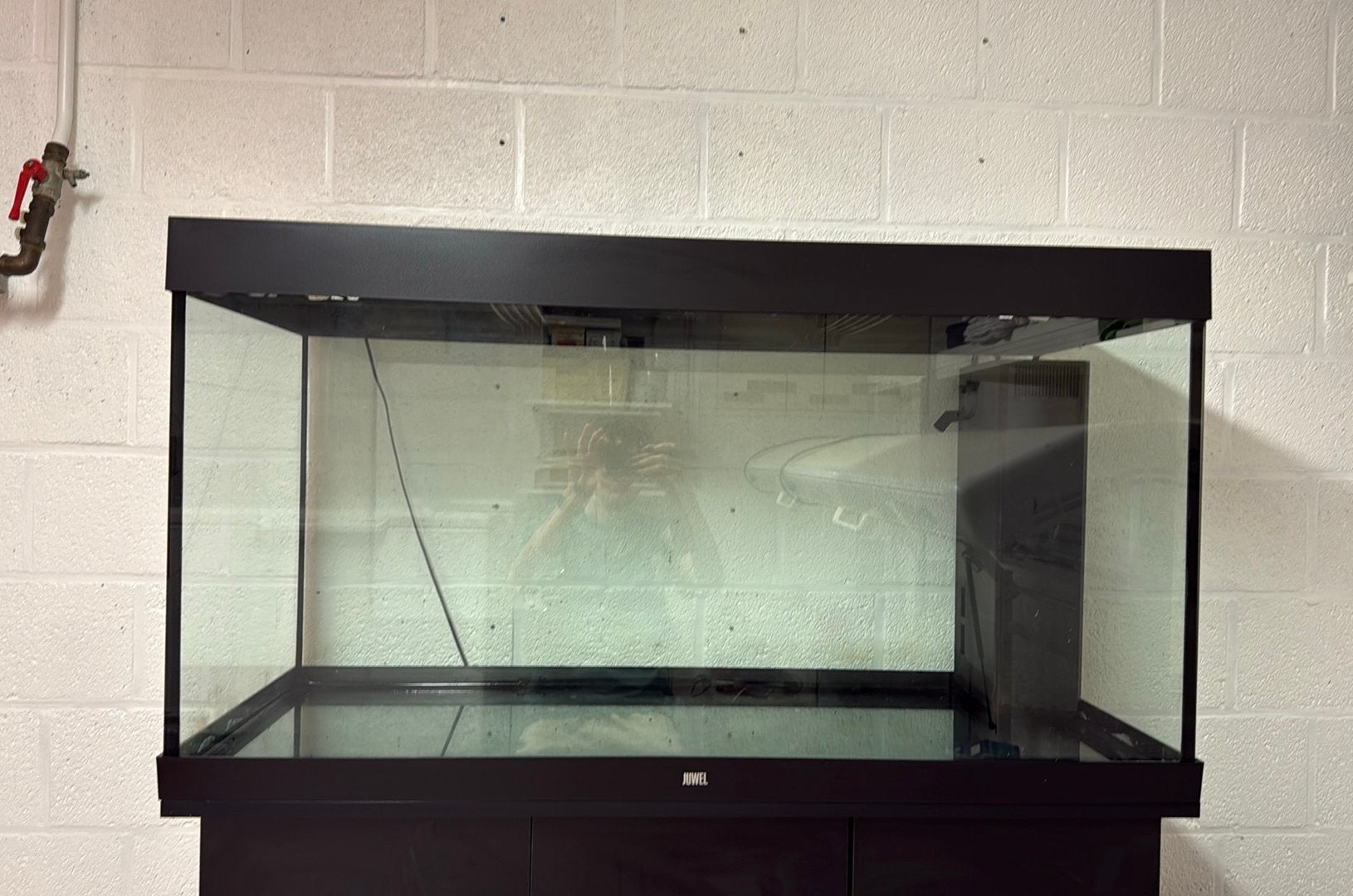 Aquarium de 350 litres avec armoire, Animaux & Accessoires, Poisson, Poisson d'eau douce, Banc de poissons