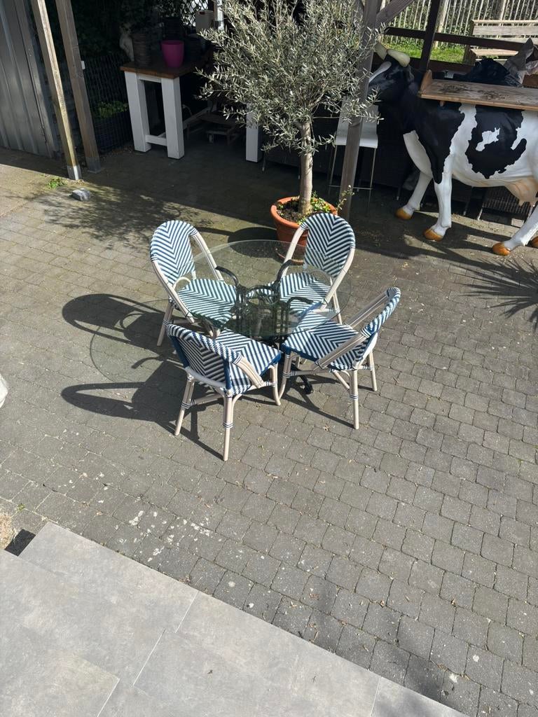 Table de terrasse avec 4 chaises, Jardin & Terrasse, Chaise, Salons de jardin, Comme neuf, Synthétique