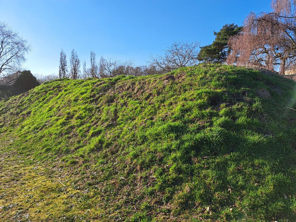 Zwarte grond, teelaarde Zonhoven, Ophalen, Tuinaarde
