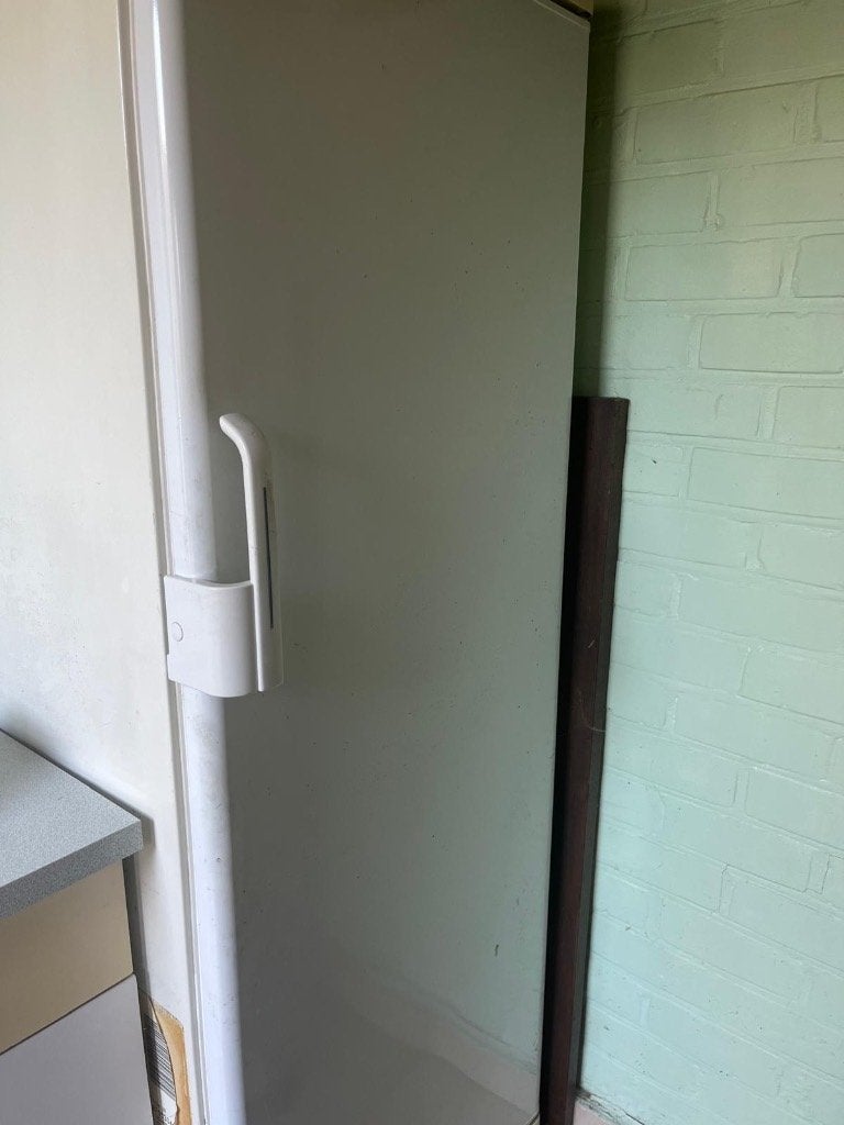 Grote diepvries, Elektronische apparatuur, Koelkasten en IJskasten, Ophalen, Gebruikt, 160 cm of meer, 45 tot 60 cm