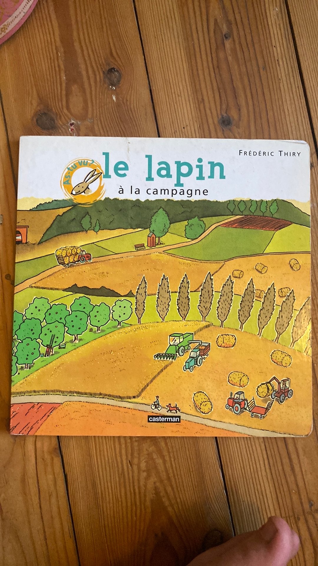 Le lapin a la campagne, Cherche et trouve!, Boeken, Kinderboeken | Baby's en Peuters, Ophalen, Gelezen