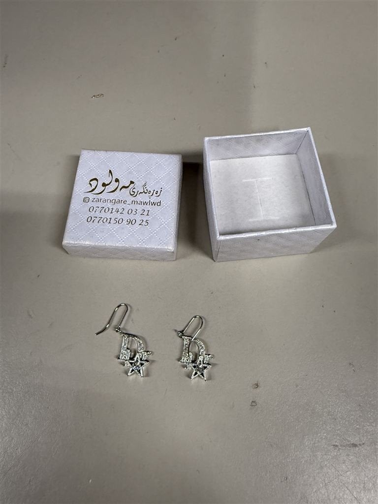 Christian Dior Logo Ster Oorbellen met Doosje, Bijoux, Sacs & Beauté, Boucles d'oreilles, Enlèvement ou Envoi, Comme neuf