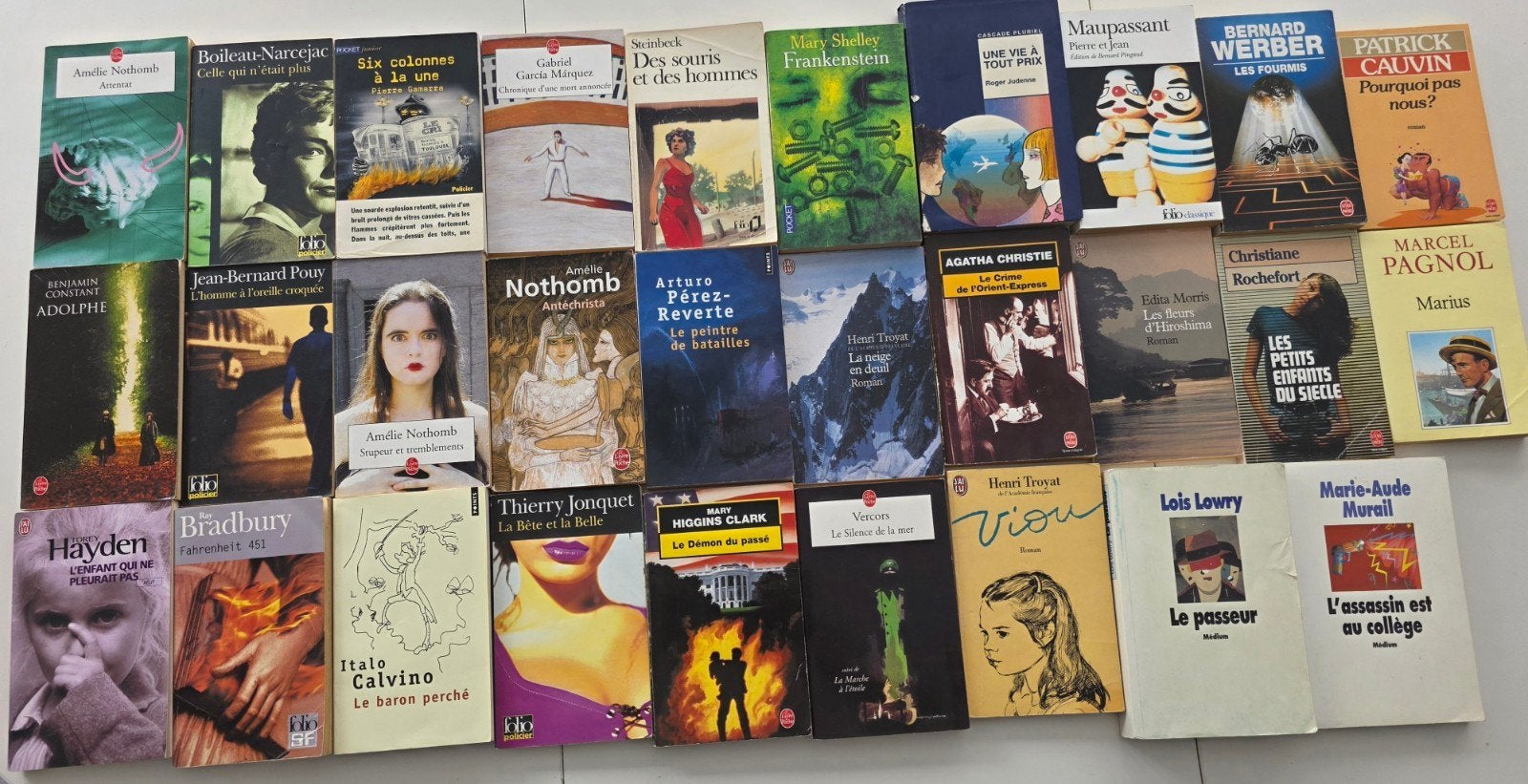Lot de 29 romans classiques et scolaires collège / lycée, Boeken, Romans, Gelezen, Ophalen of Verzenden