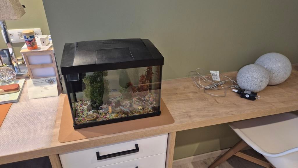 Kleine aquarium, Ophalen, Zo goed als nieuw