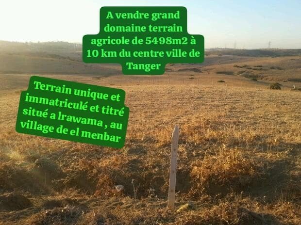 Grote landbouwgrond van Titrè met water in Tanger, 5498 m2, Tanger Maroc, Verkoop zonder makelaar, 1500 m² of meer