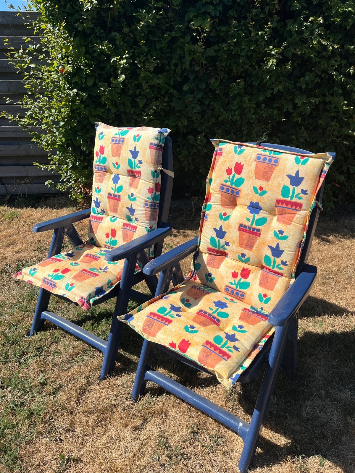 Blauwe tuinstoelen met gekleurde kussens, Jardin & Terrasse, Enlèvement, Comme neuf, Plastique