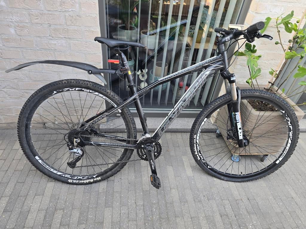 MTB olympia 29'er, Enlèvement