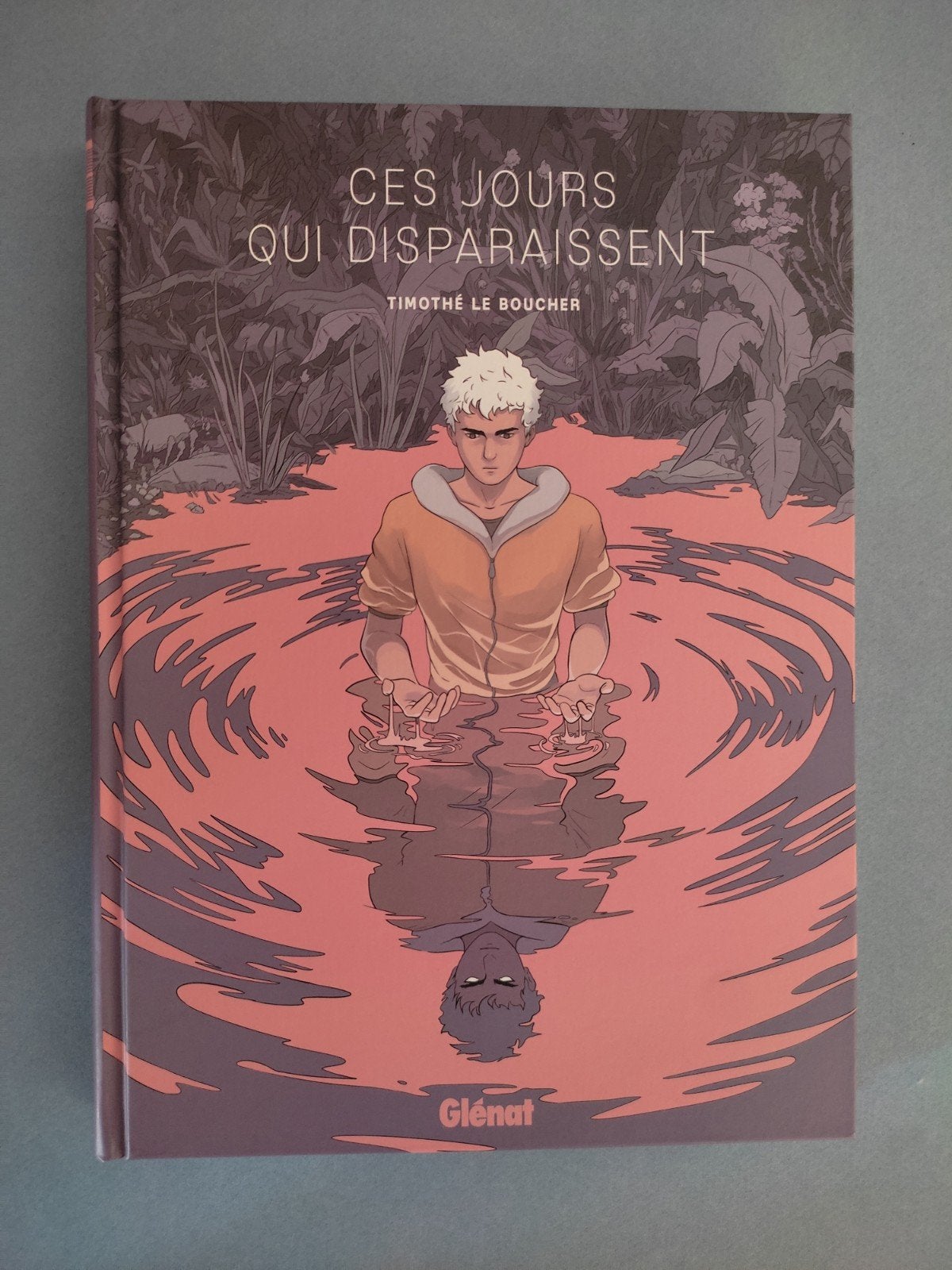 Les jours qui disparaissent - Timothé Le Boucher BD NEUF, Livres, Neuf, Enlèvement ou Envoi, Une BD, Timothé Le Boucher.