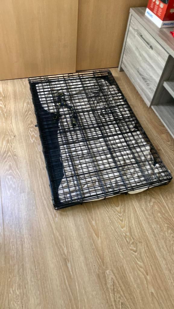 Honden bench, Dieren en Toebehoren, Hondenhokken, Ophalen, Zo goed als nieuw