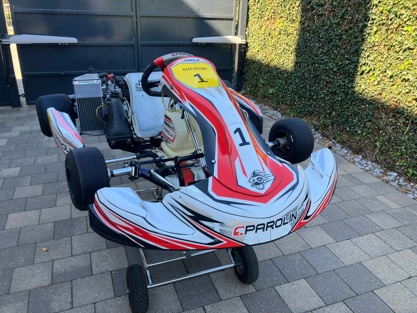 Kart parolin rotax max 125 cc met alle toebehoren +extra s, Enlèvement, Comme neuf, Kart