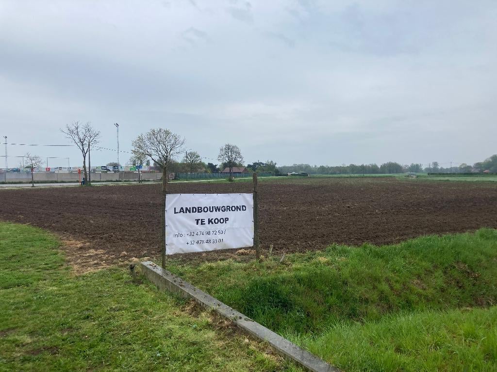 Landbouwgrond in Kinrooi te koop, 3640 Kinrooi, Verkoop zonder makelaar, 1500 m² of meer