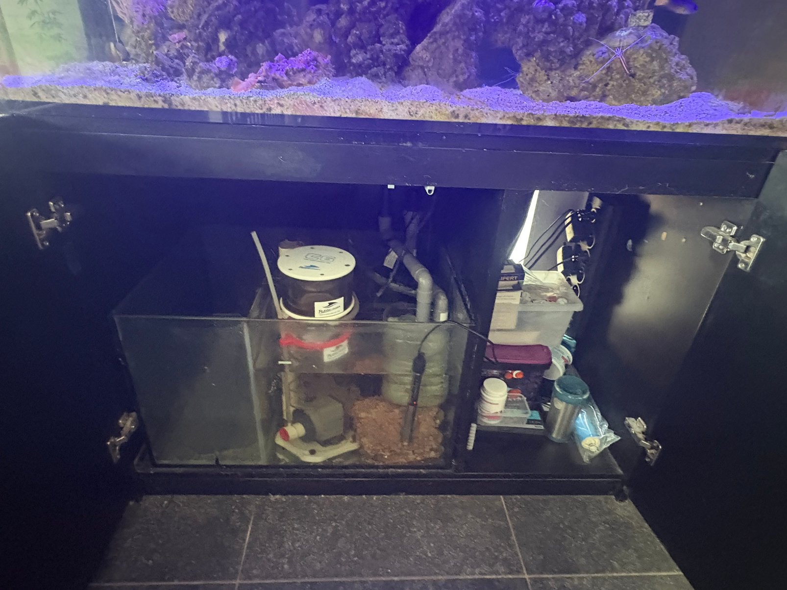 Zeeaquarium met alle toebehoren, Animaux & Accessoires, Enlèvement, Red Sea