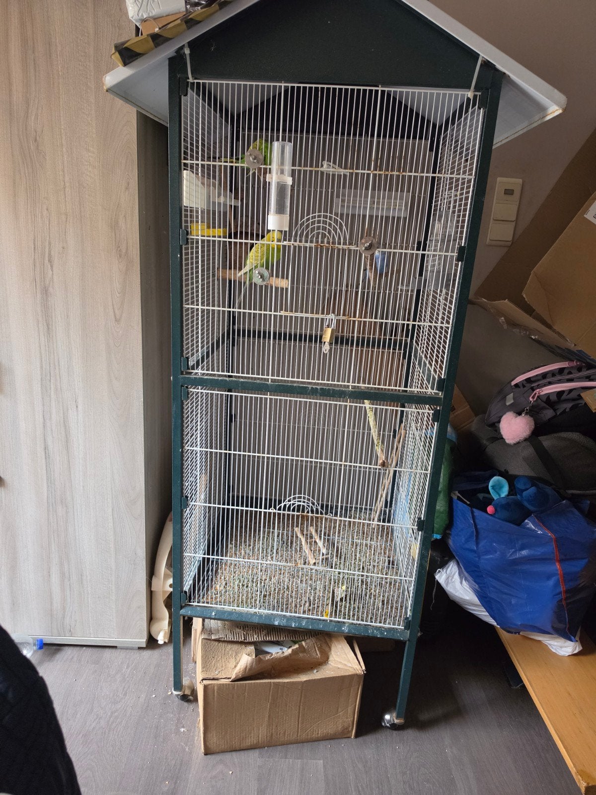 vogels te koop, Dieren en Toebehoren, Vogels | Hokken en Kooien, Ophalen, Vogelkooi