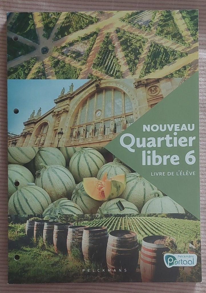 Leerwerkboek Nouveau quartier libre 6, Livres, Livres scolaires, Neuf, Français, Autres niveaux, Enlèvement