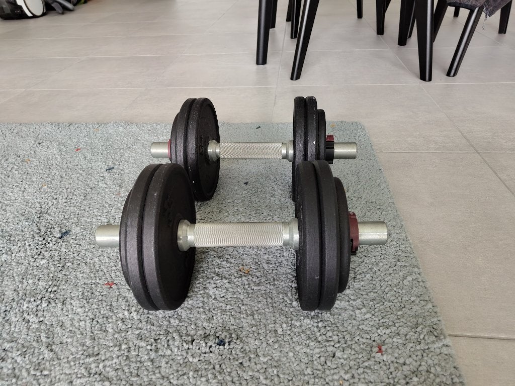 Haltères musculation, 12kg de chaque, Sports & Fitness, Enlèvement, Neuf, Bras, Haltère