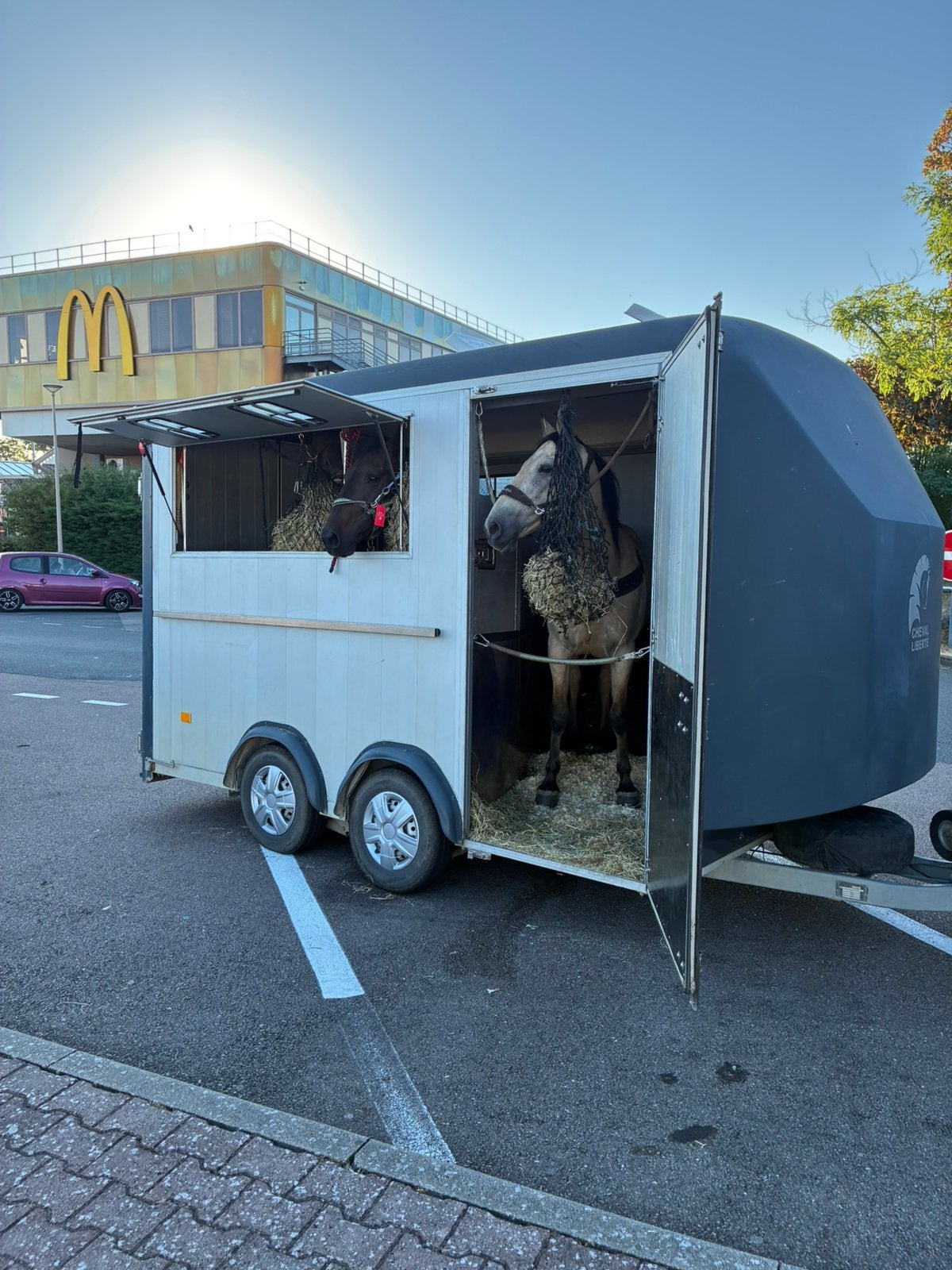 Van 3 places chevaux, 2 ou 3 chevaux ou poneys