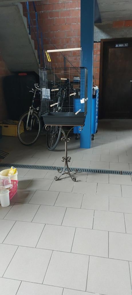 Te koop vogelkooi, Enlèvement, Métal, Cage à oiseaux