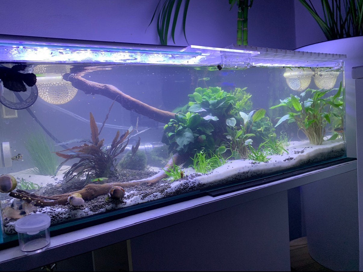 Aquarium, Dieren en Toebehoren, Ophalen, Zo goed als nieuw
