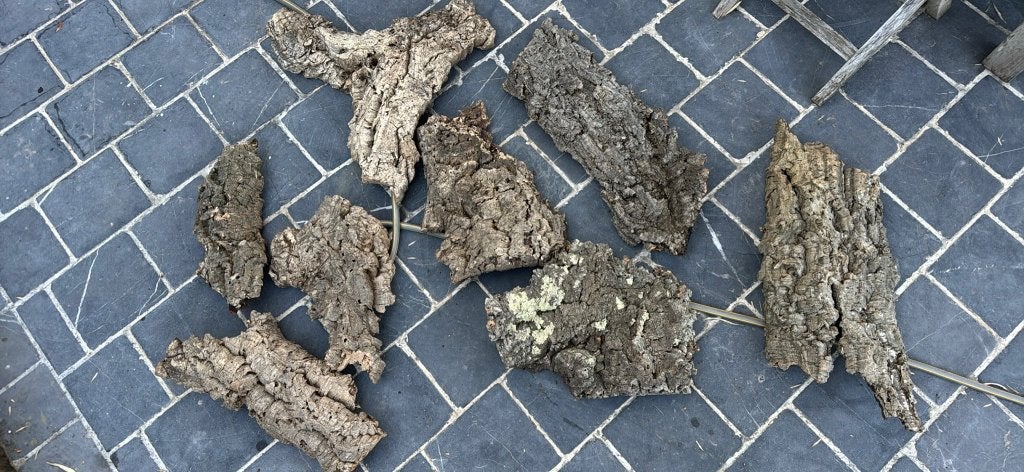 Écorces de liège pour support plante epyphite, Enlèvement, Autres espèces, Moins de 100 cm