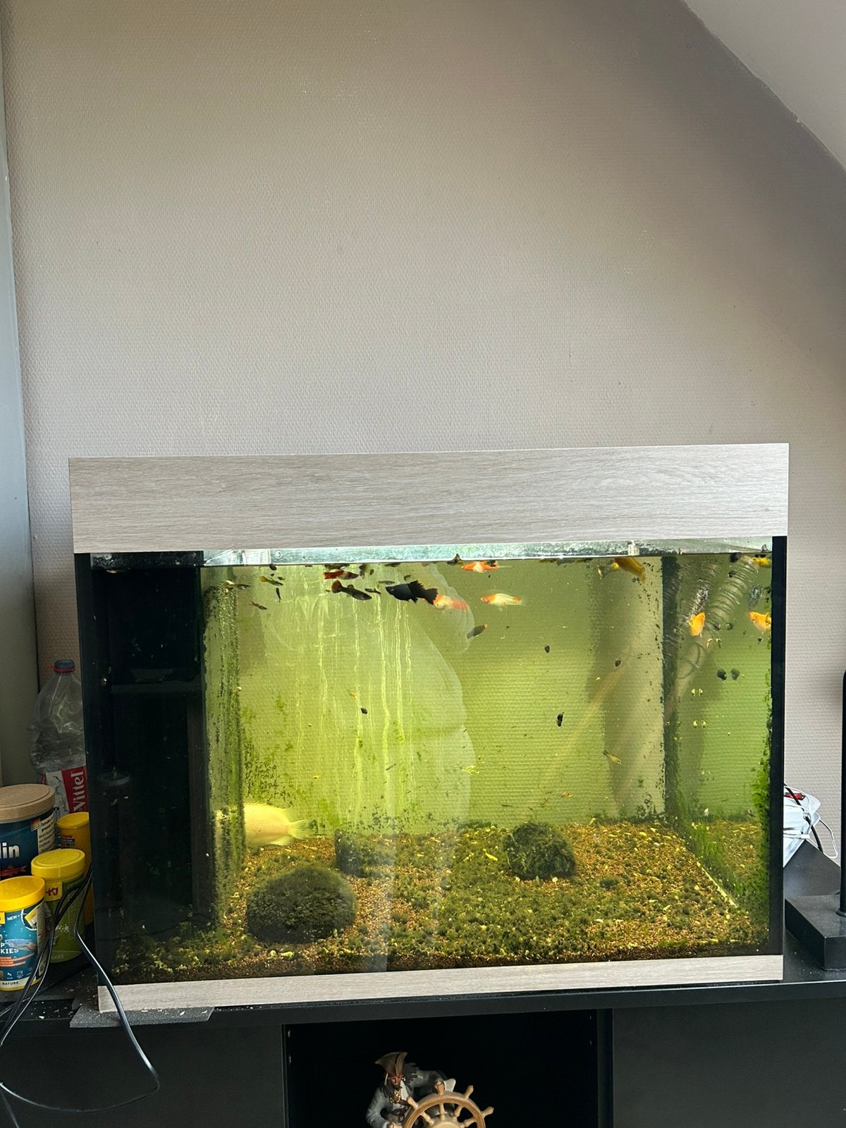 Aquarium op maat, 300 l, Dieren en Toebehoren, Vissen | Aquaria en Toebehoren, Ophalen, Zo goed als nieuw, Leeg aquarium, Overige merken