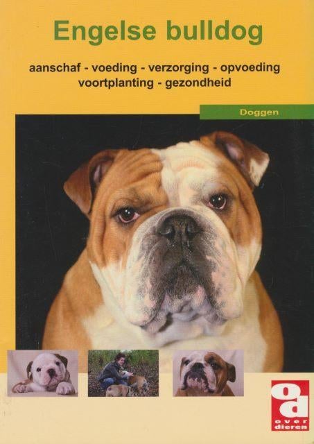 (d34) Engelse Bulldog, Verzenden, Gelezen