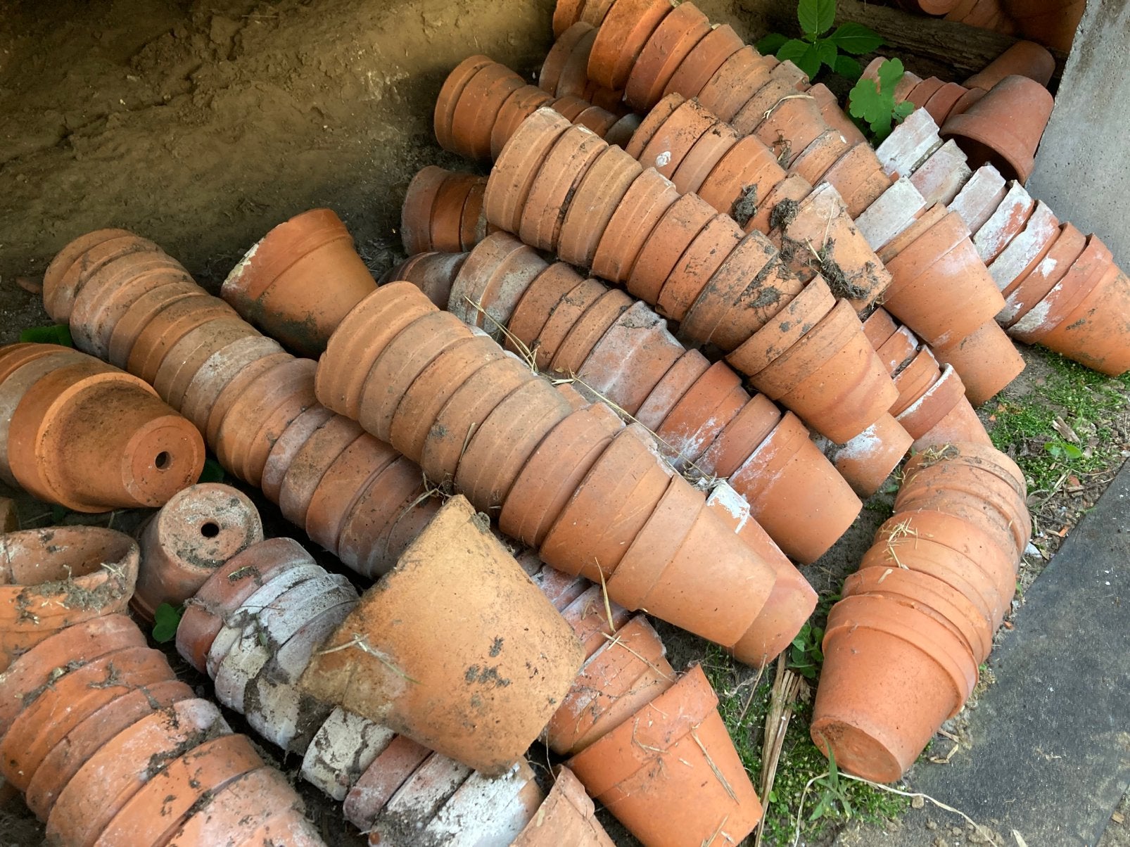 Bloempotjes terracotta, Jardin & Terrasse, Produits de culture, Enlèvement, Utilisé