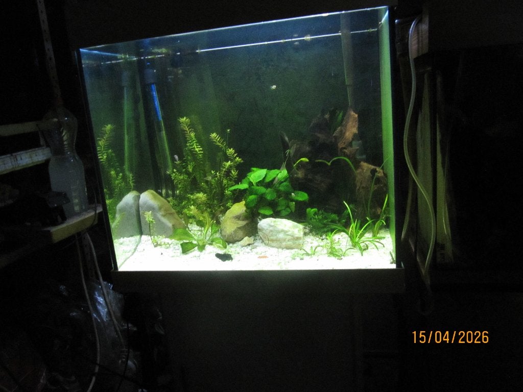juwel lido 120, Ophalen, Verwarming, Filter, Juwel