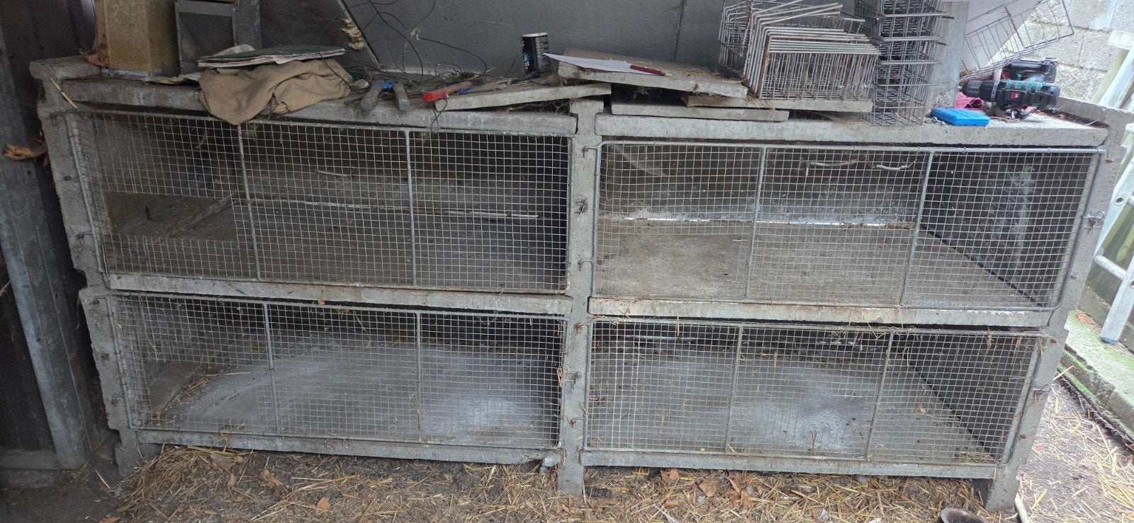 clapier lapin beton, Enlèvement