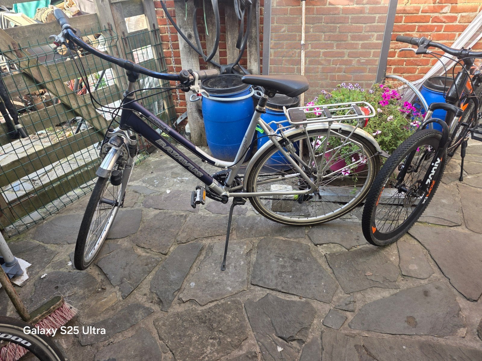 damesfiets batavus, Ophalen, Velgrem, Versnellingen, Batavus
