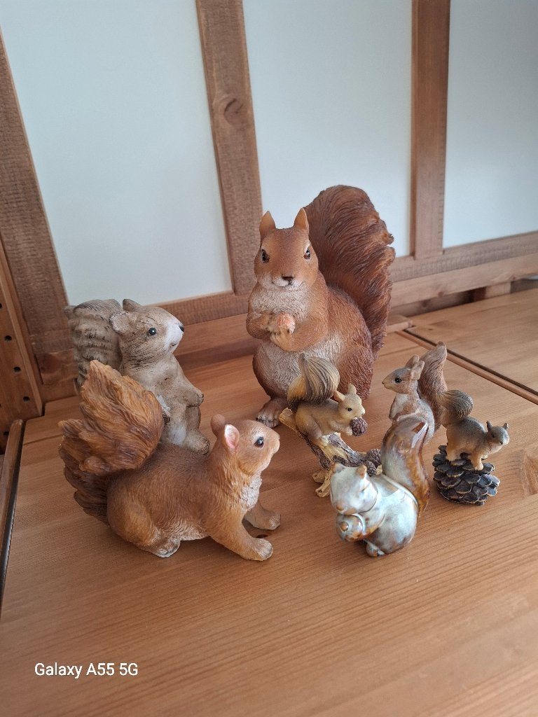 Eekhoorns, Enlèvement, Comme neuf, Animal