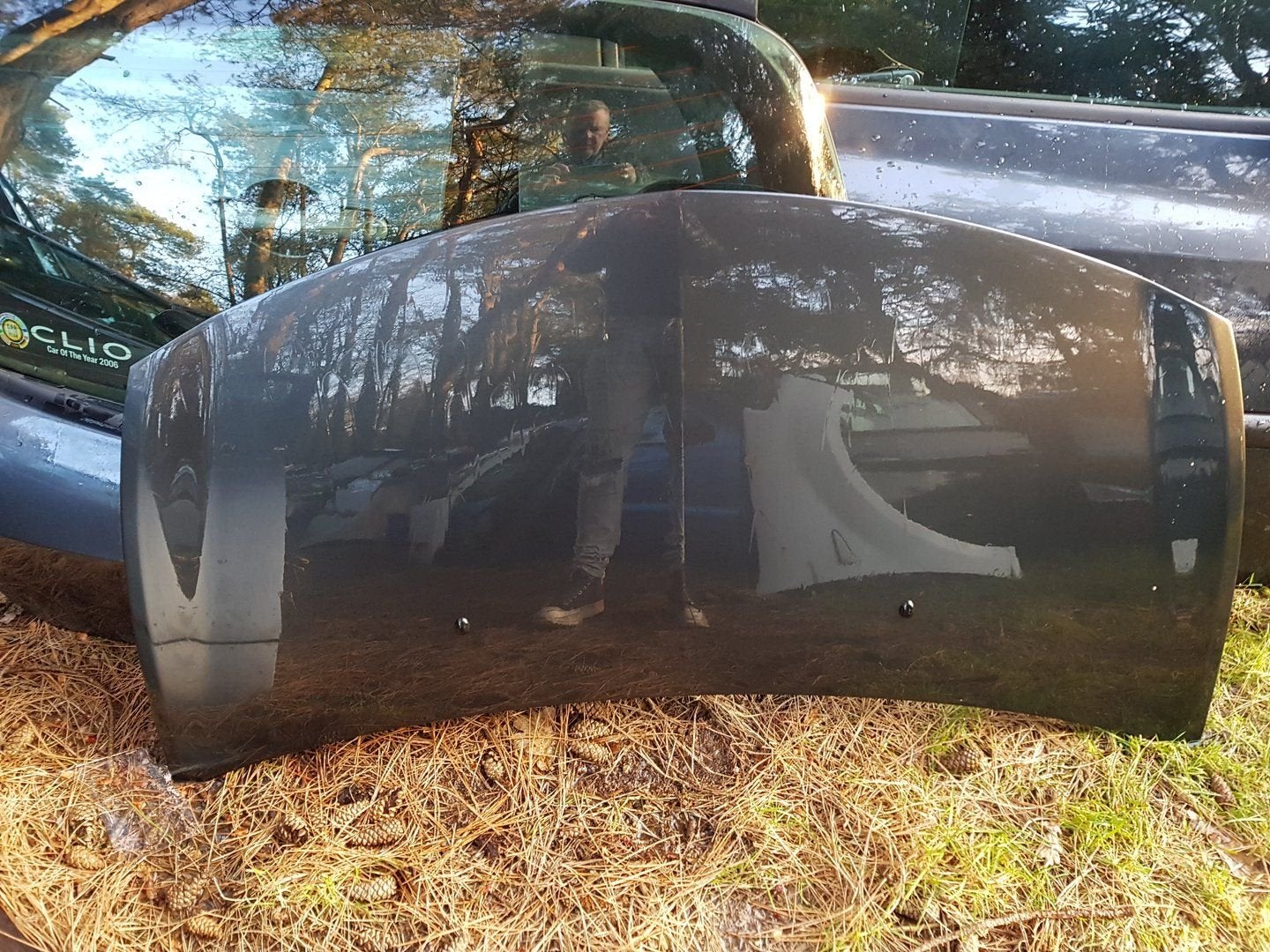 RENAULT CLIO 3 MOTORKAP KLEURCODE SAN 913, -, Utilisé, -, Capot moteur