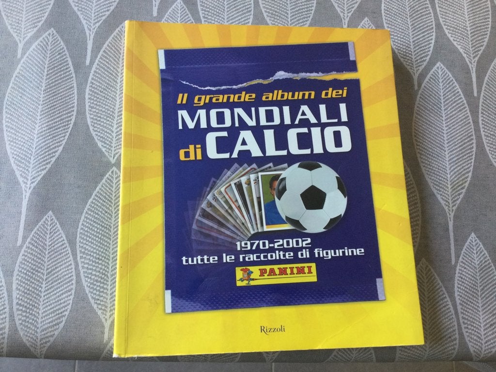 Panini boek wk, Verzamelen, Ophalen of Verzenden, Zo goed als nieuw