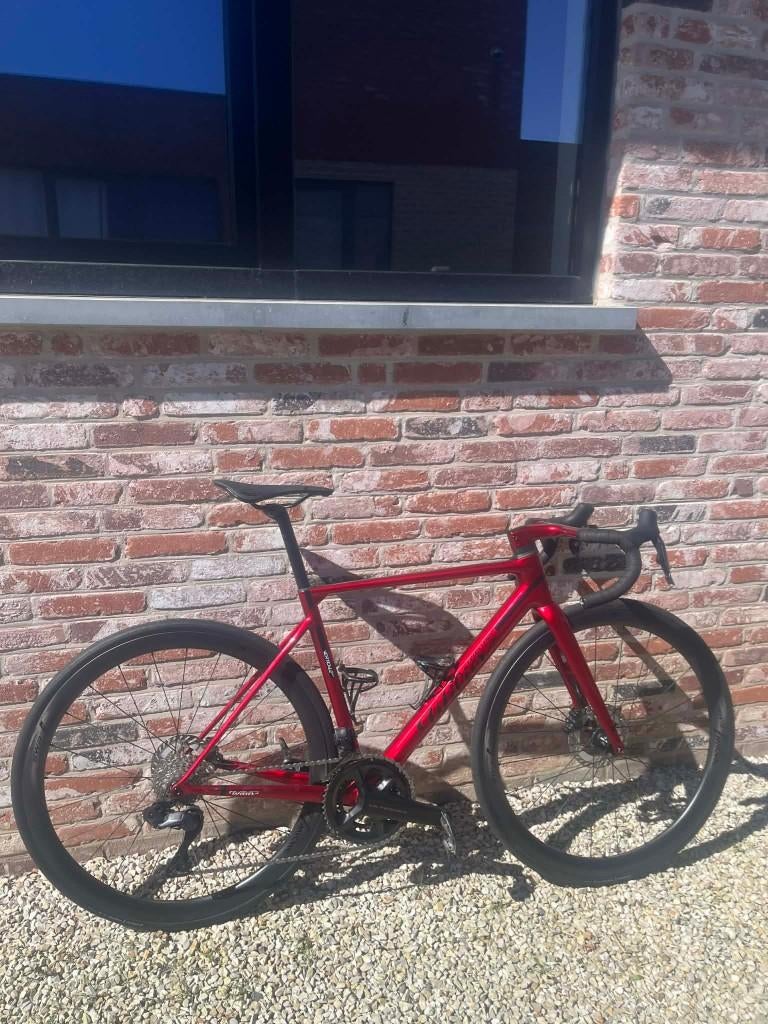 wilier verticale slr, Enlèvement, Neuf, Carbone