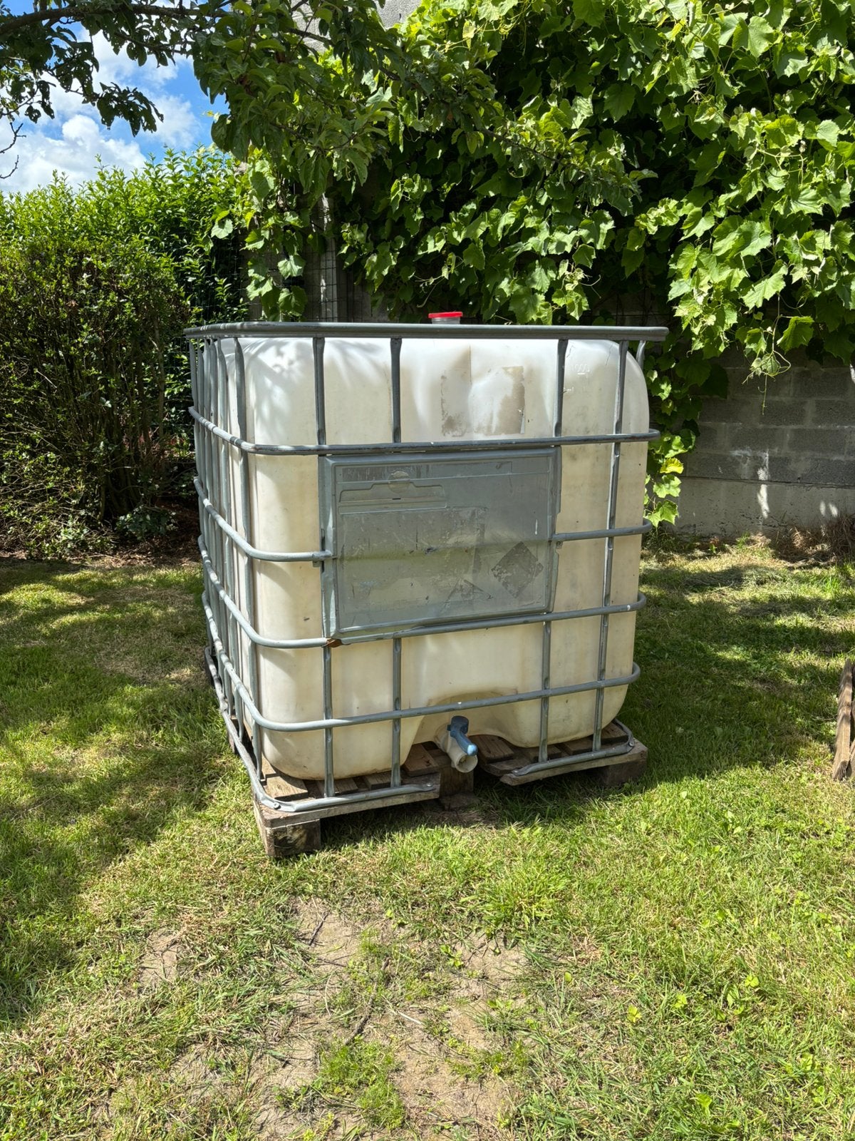 Ibc watervat, Tuin en Terras, Regentonnen, Ophalen, Zo goed als nieuw