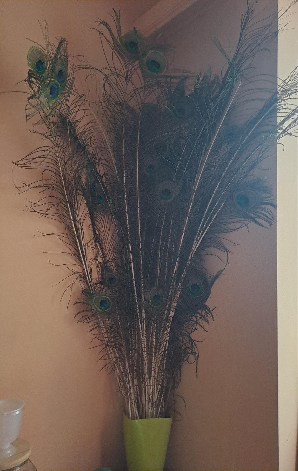 gros bouquet de plumes de paon, Enlèvement