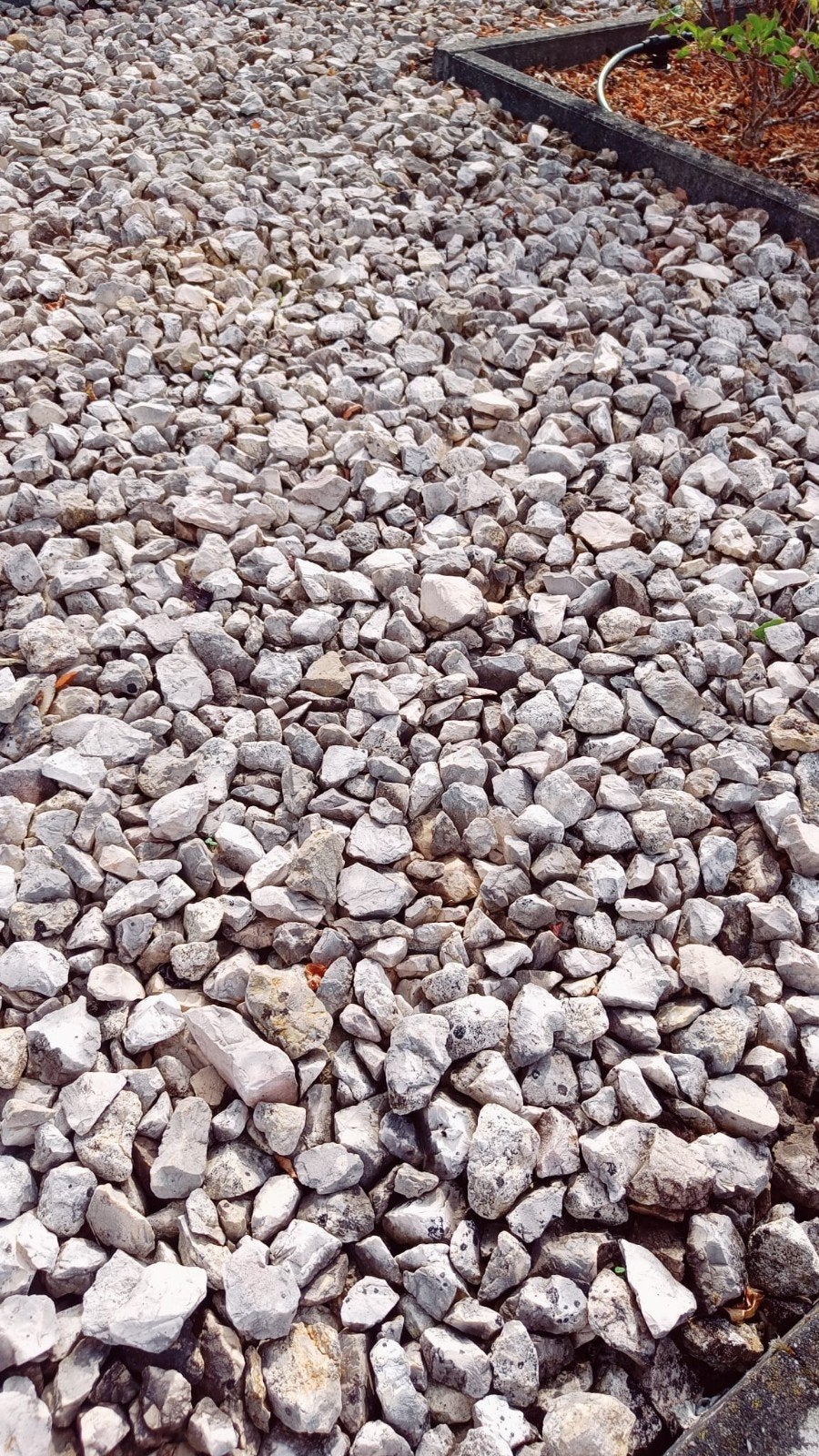 gratis grind/split voor de tuin, Enlèvement, Gravier