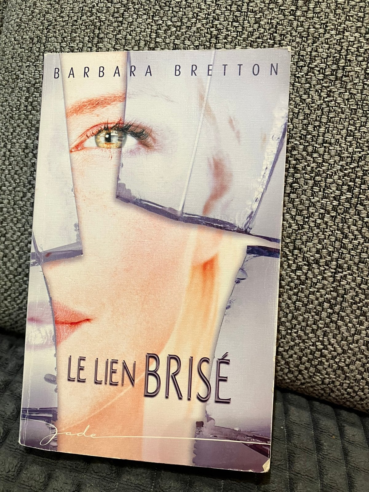 Roman le lien brisé de Barbara Bretton, Enlèvement ou Envoi, Utilisé
